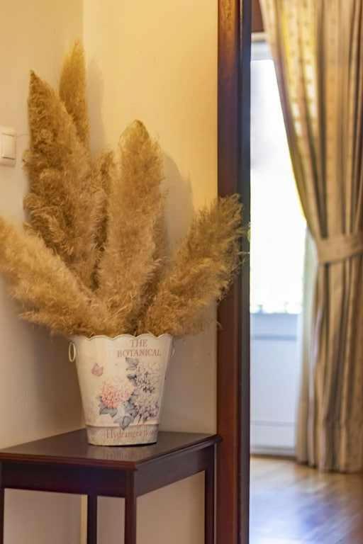 Quintinha De Sabadim - 500 Metros Da Ecovia De Sistelo Villa Arcos de Valdevez Ngoại thất bức ảnh